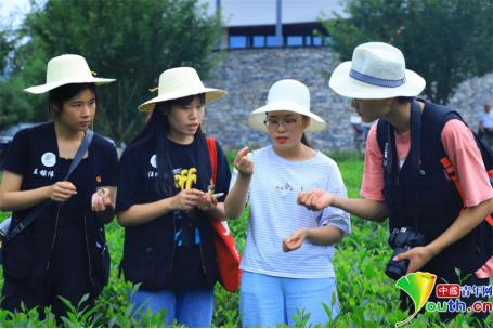 紫阳富硒茶品牌(紫阳富硒茶品种和单价)-硒宝网