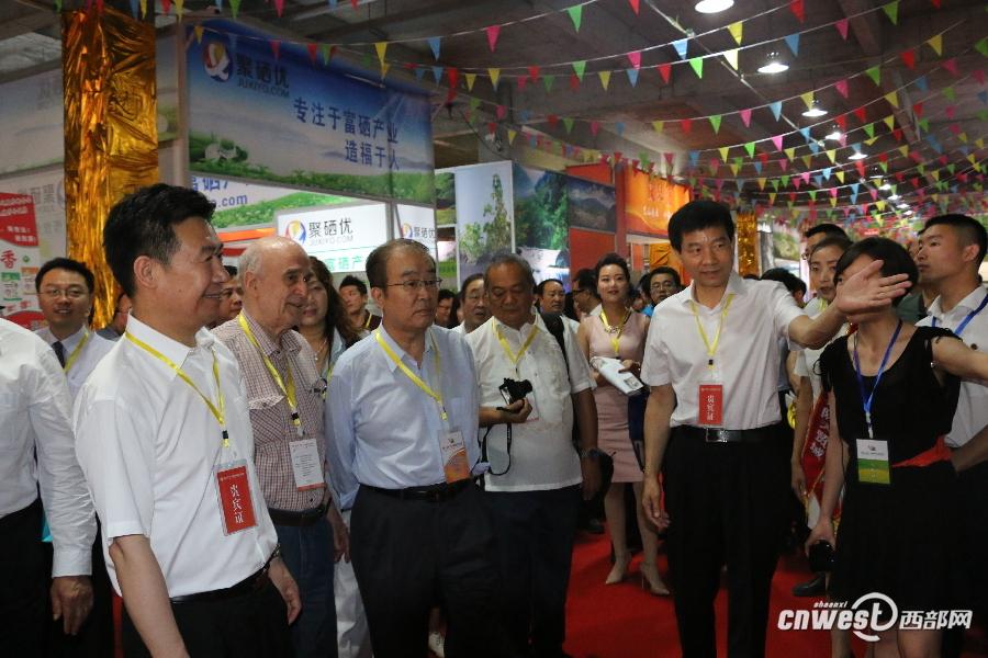 安康富硒茶图片（安康茶属于什么品种）-硒宝网