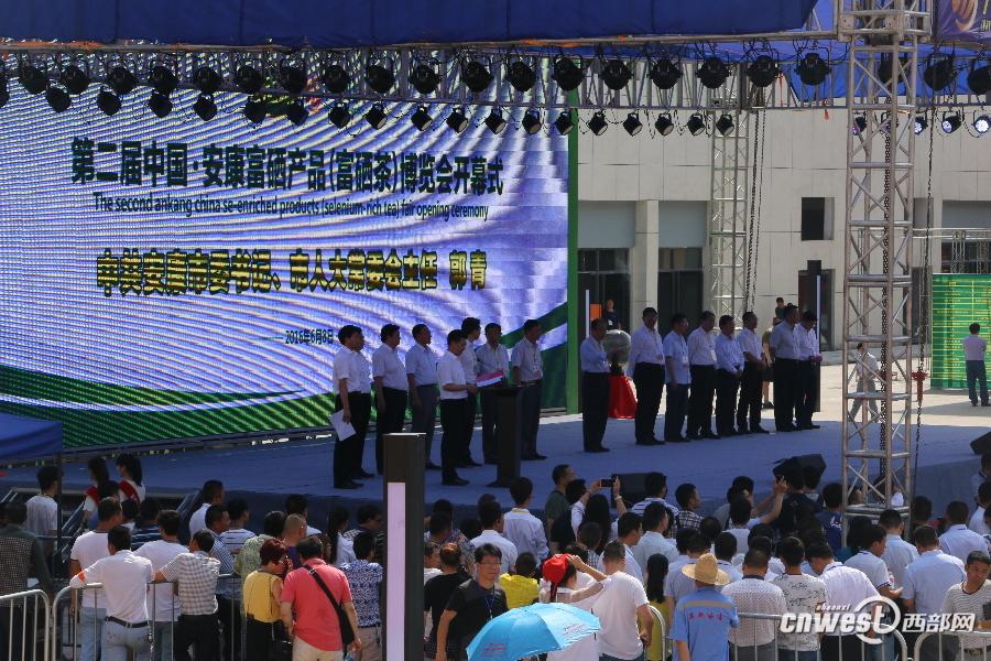 安康富硒茶图片（安康茶属于什么品种）-硒宝网