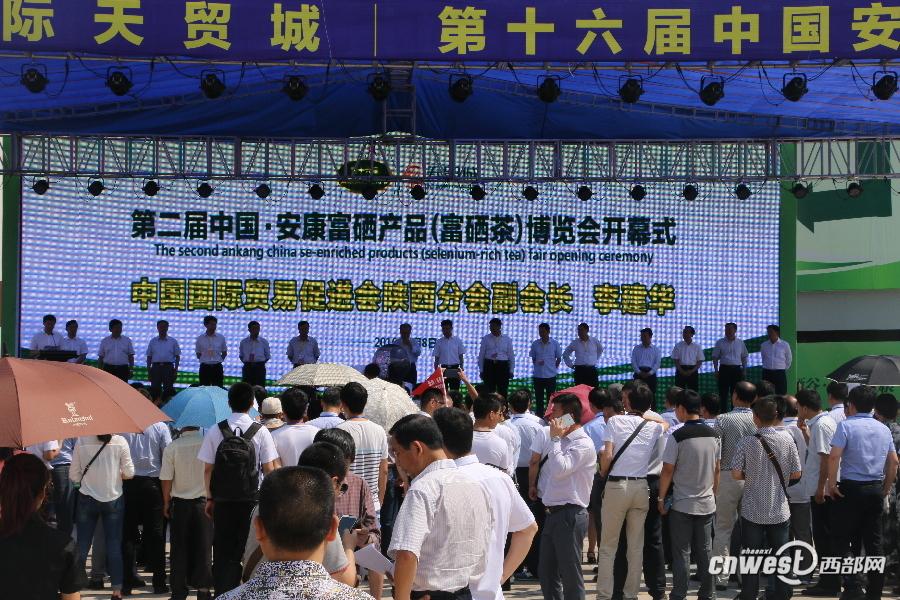 安康富硒茶图片（安康茶属于什么品种）-硒宝网