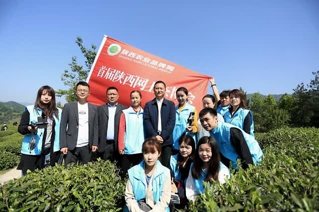 富硒紫阳茶多少钱一斤(紫阳富硒茶好坏辨别)-硒宝网