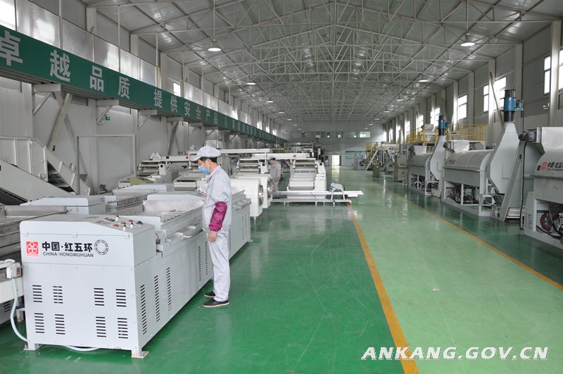 恩施硒茶的作用（恩施硒茶的功效）-硒宝网