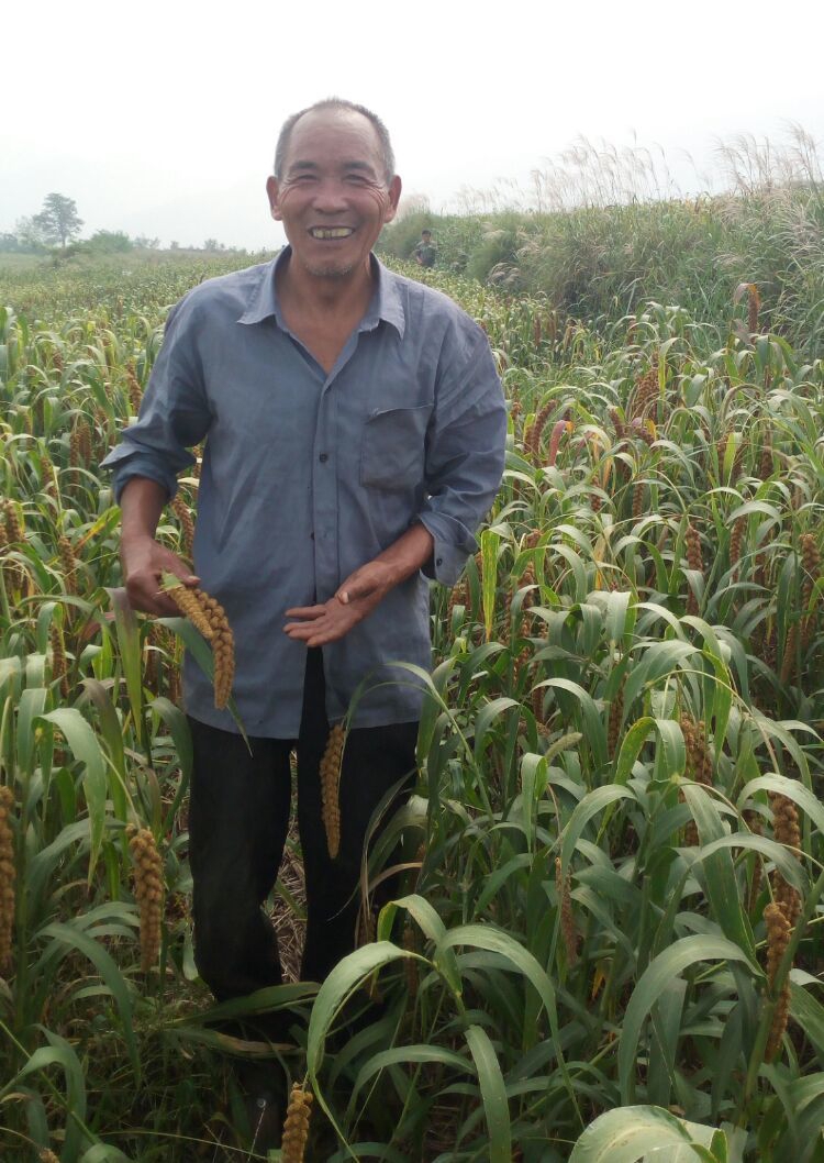 如何种植富硒的农作物（富硒农业种植的三大特点）-硒宝网