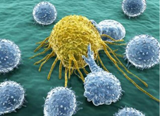 什么时候补硒(补硒可以补多长时间)-硒宝网