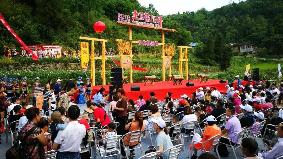 恩施硒茶的作用（锌硒茶的功效与作用）-硒宝网