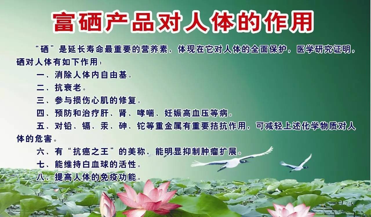 恩施富硒鸡蛋（恩施富硒蛋白片）-硒宝网