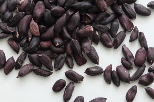 富硒黑花生产地(富硒黑花生哪里产好)-硒宝网