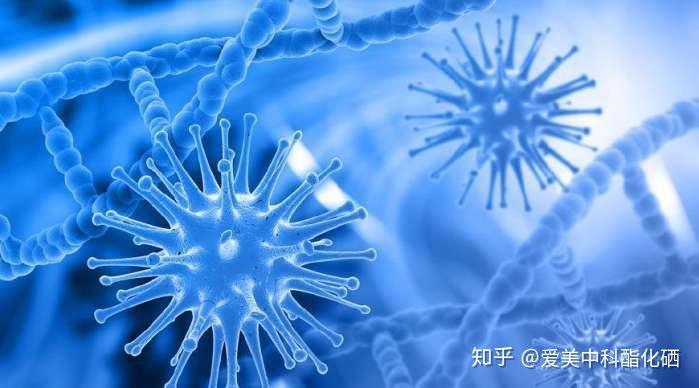 什么样的人群需要补充硒(需要补硒的人群)-硒宝网