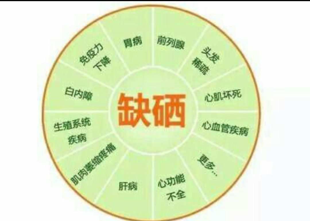 什么样的人群需要补充硒（九种人必须补硒）-硒宝网