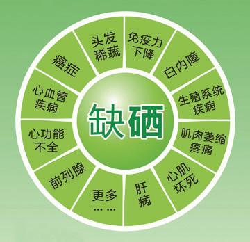 什么样的人群需要补充硒（九种人必须补硒）-硒宝网