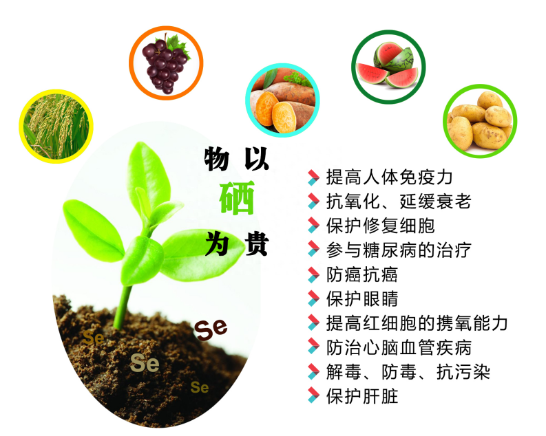 什么时候补硒（补硒的时候应该注意什么）-硒宝网