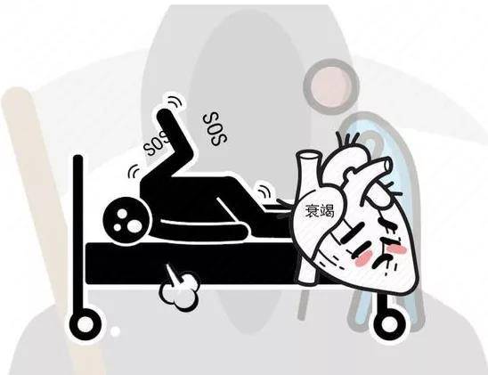 补充硒元素的药物（药物补充元素硒有哪些）-硒宝网