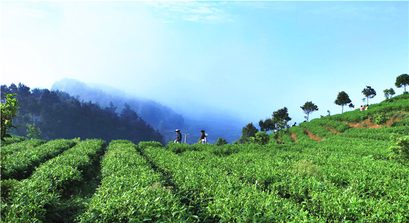 湖北恩施富硒农产品（湖北恩施富硒是传销么）-硒宝网