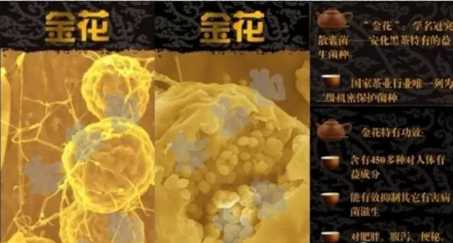 锌硒茶对人体的好处(锌硒茶叶)-硒宝网