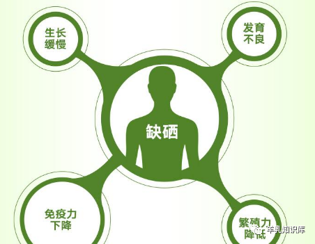 血脂高可以补硒吗（补硒可以治疗痛风吗）-硒宝网