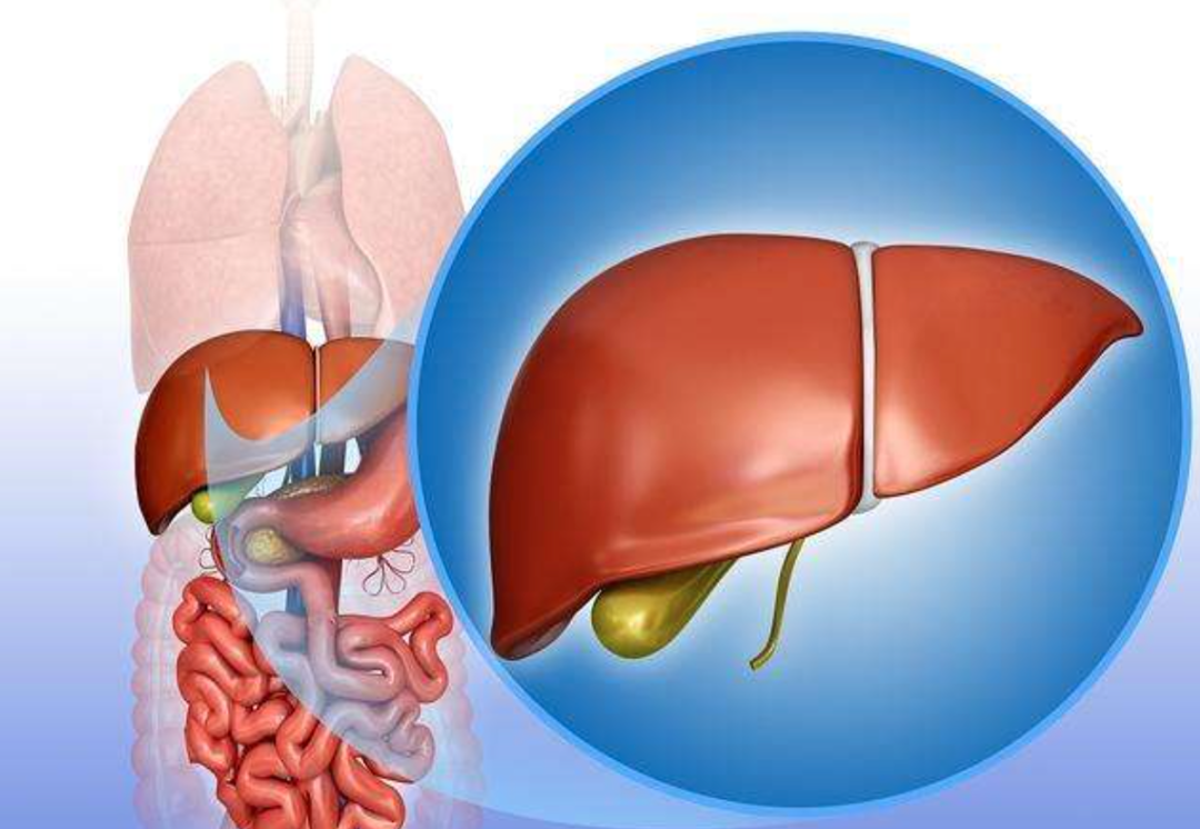 每个人都要补硒吗(补硒能治疗乙肝吗)-硒宝网