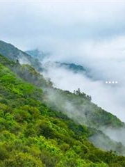 女性补硒元素哪个牌子最好(女性补硒的保健品哪个品牌最好)-硒宝网