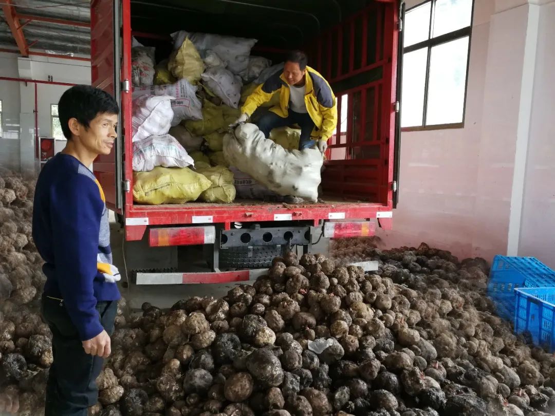 安康市富硒产品有哪些(安康富硒产业)-硒宝网