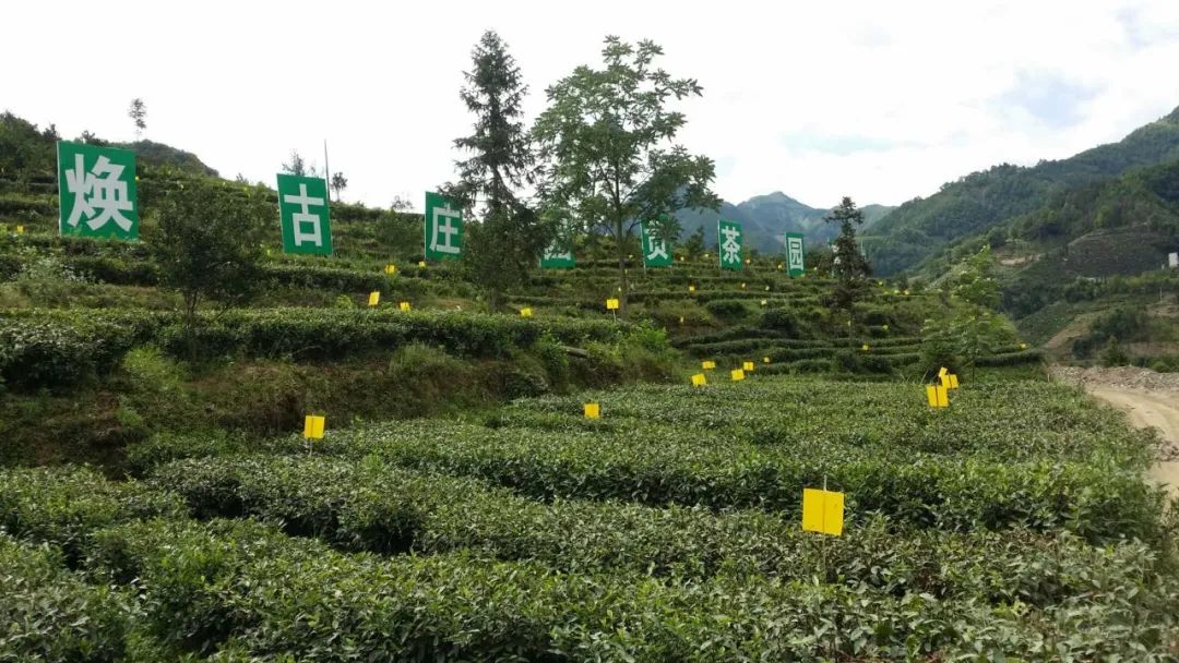 安康市富硒产品有哪些(安康富硒产业)-硒宝网