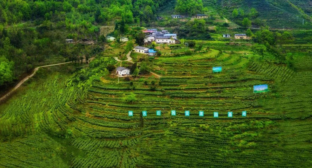 安康市富硒产品有哪些(安康富硒产业)-硒宝网