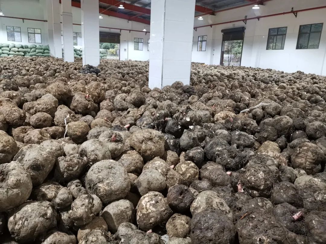 安康市富硒产品有哪些(安康富硒产业)-硒宝网