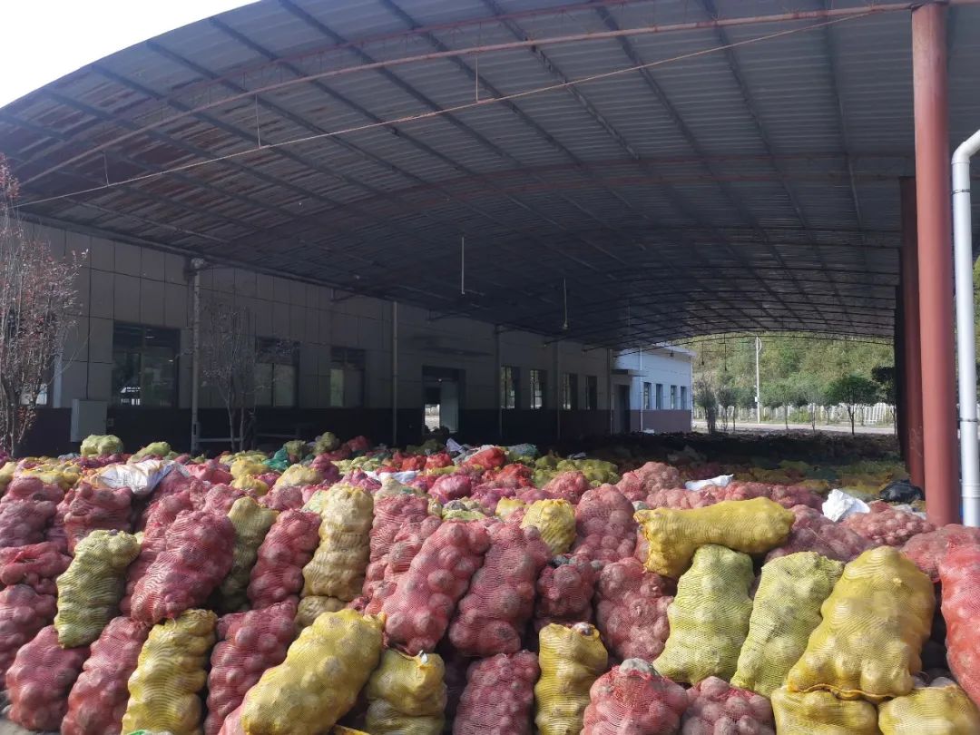 安康市富硒产品有哪些(安康富硒产业)-硒宝网