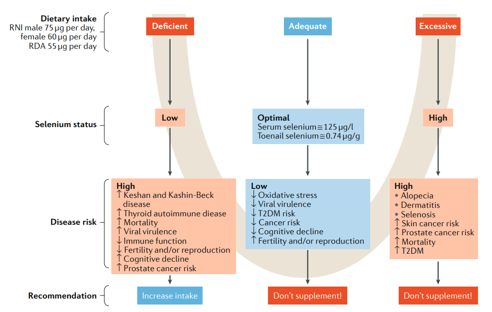 补充硒元素的药物（药物补充元素硒的作用）-硒宝网