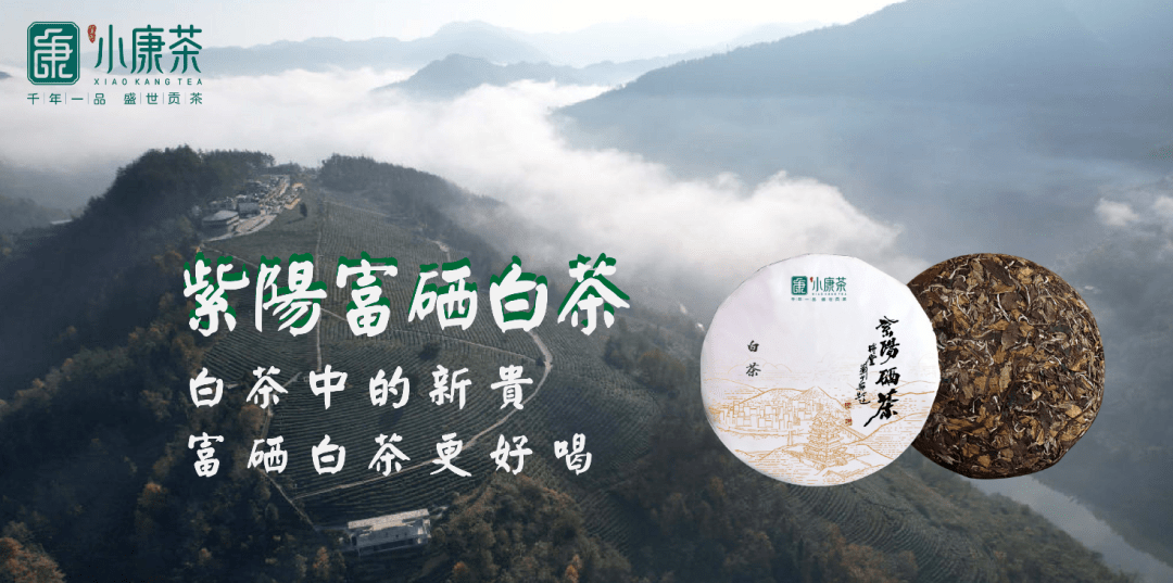 紫阳天然富硒茶(紫阳富硒茶是绿茶吗)-硒宝网