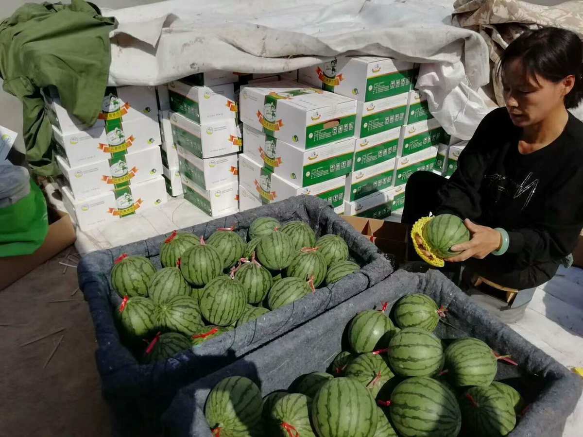 济阳仁风富硒西瓜（仁凤富硒西瓜）-硒宝网