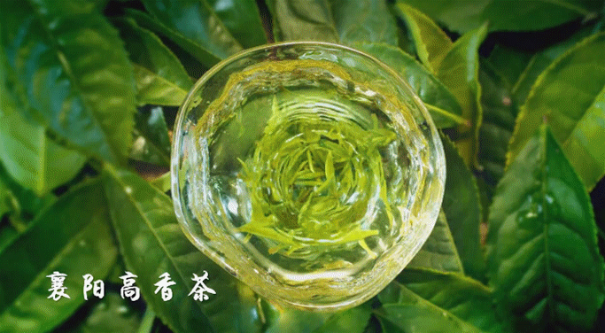 湖北恩施富硒茶多少钱一斤(恩施富硒茶21年新茶价格)-硒宝网