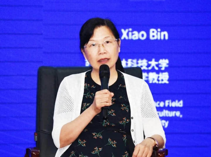 安康富硒茶图片（安康茶业）-硒宝网