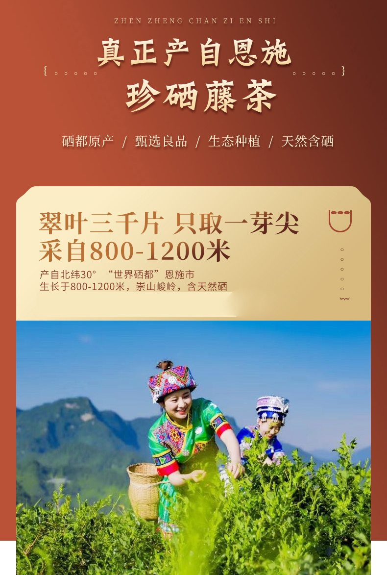 恩施的富硒茶（恩施富硒新茶）-硒宝网