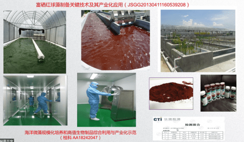 补充硒元素的药物（药物补充元素硒的方法）-硒宝网