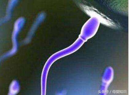 锌硒宝吃多久精子见效（锌硒宝能生精吗）-硒宝网