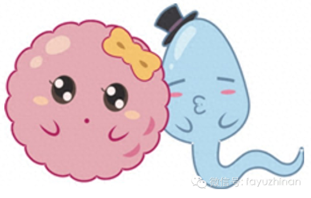 锌硒宝吃多久精子见效(弱精吃锌硒宝)-硒宝网