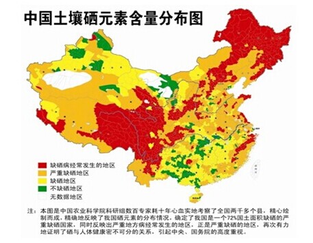 怎么科学补硒（科学补硒有哪十大好处）-硒宝网