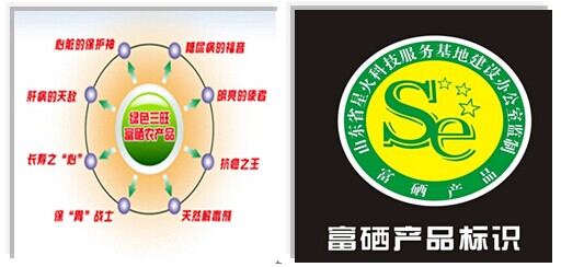 怎么科学补硒（科学补硒有哪十大好处）-硒宝网