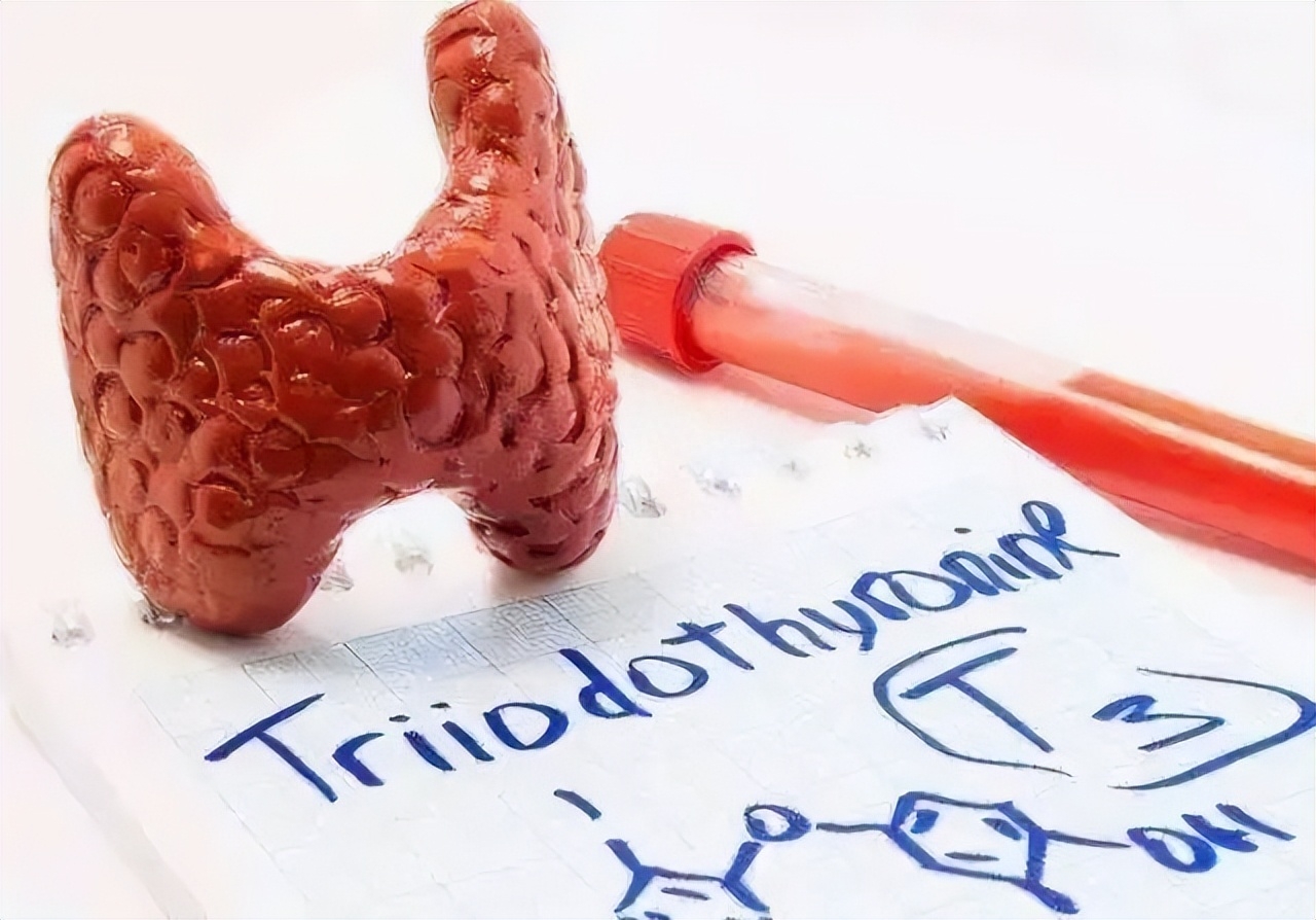 硒酵母片对甲状腺作用(麦芽硒和酵母硒)-硒宝网