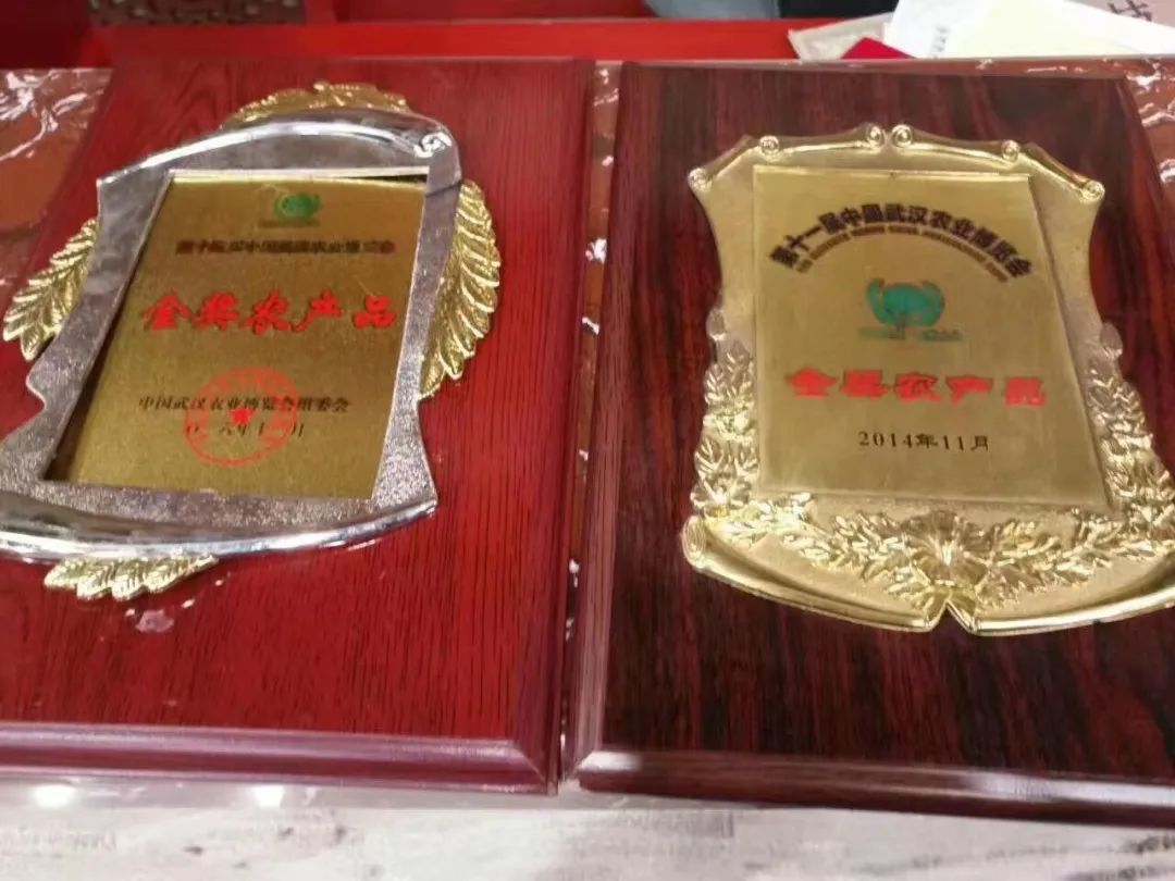 恩施富硒茶那个品牌好(恩施富硒茶厂)-硒宝网