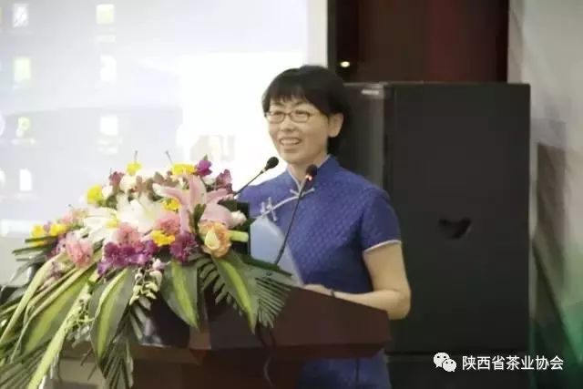 恩施富硒茶那个品牌好（恩施富硒茶的价格）-硒宝网