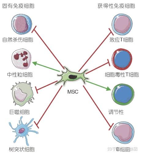 硒对人体的作用和功能（人体作用功能硒含量）-硒宝网
