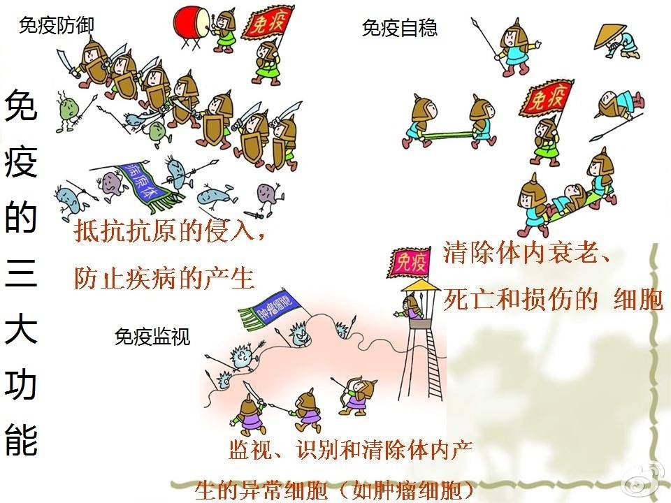 硒对人体的作用和功能（人体作用功能硒含量）-硒宝网