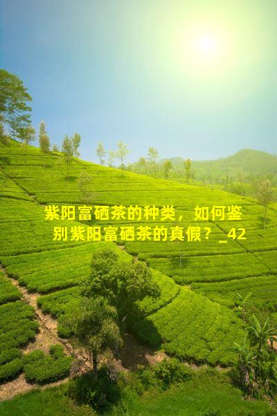 盘龙仙茗 紫阳富硒茶（紫阳盘龙茶叶）-硒宝网