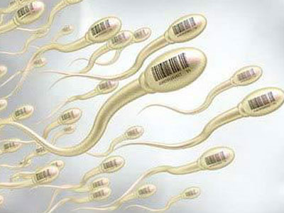 男人补锌补硒有什么用（男人补锌补硒的作用功效）-硒宝网