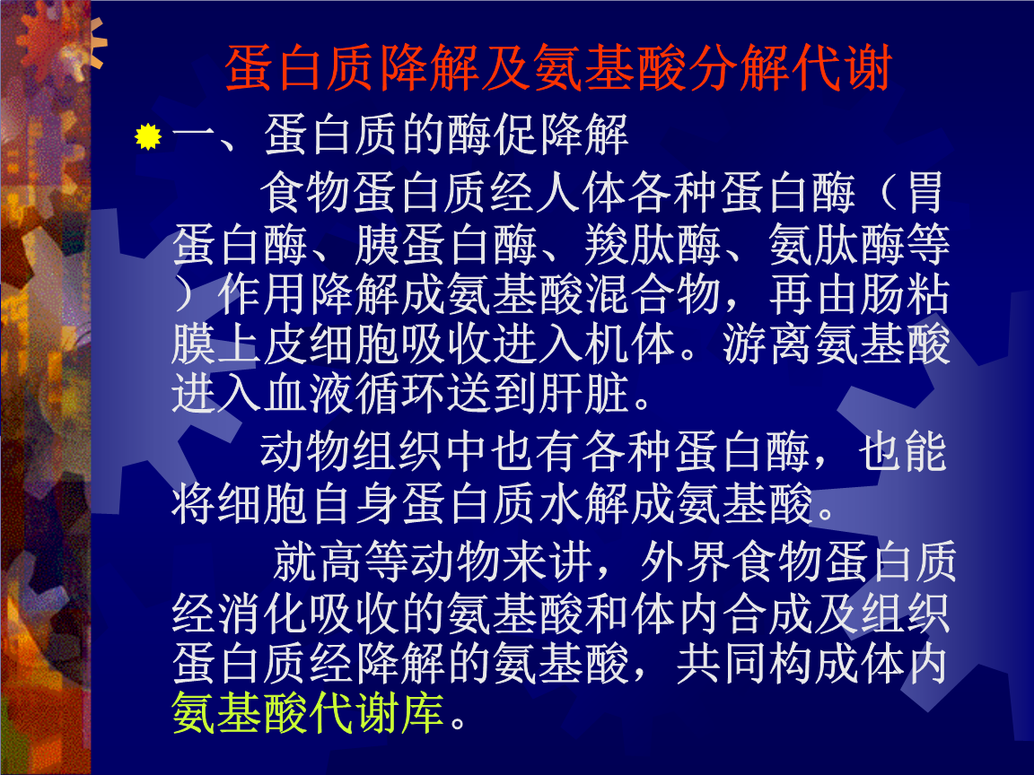 什么食物补充硒(补充硒类的食物有哪些)-硒宝网