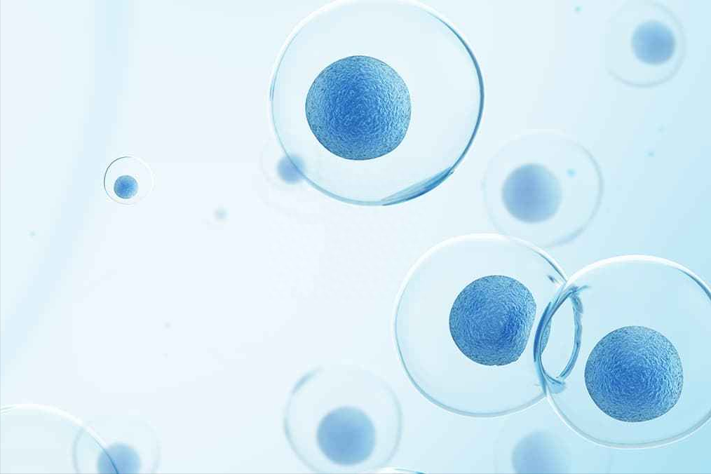 硒酵母片对甲状腺作用（酵母甲状腺片作用硒含量多少）-硒宝网