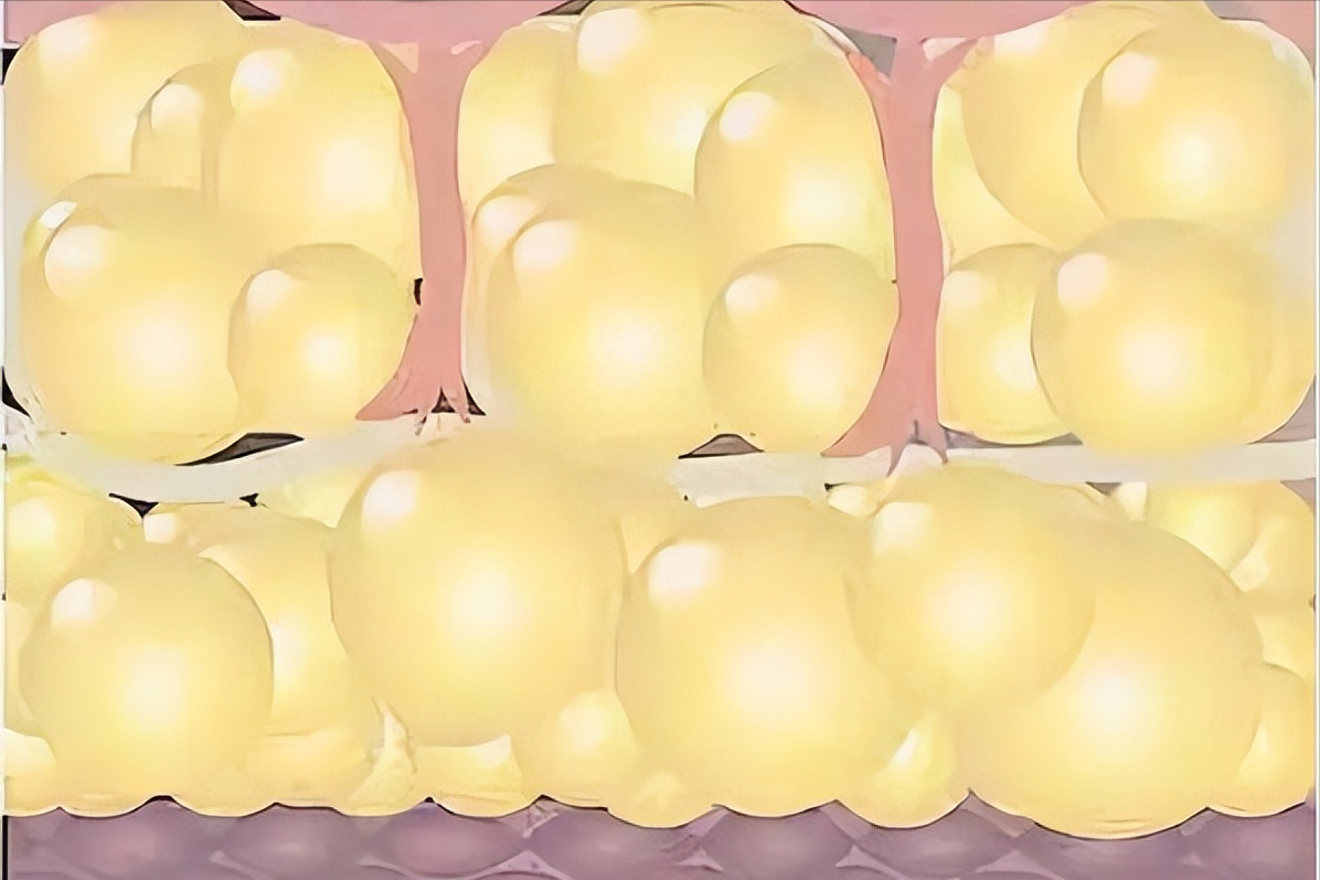 硒酵母片对甲状腺作用（酵母甲状腺片作用硒含量多少）-硒宝网