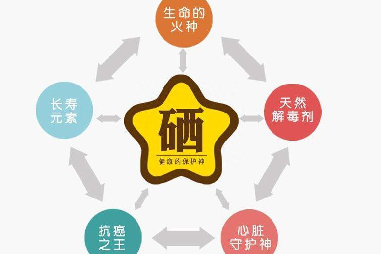 硒酵母片对甲状腺作用（酵母甲状腺片作用硒含量多少）-硒宝网