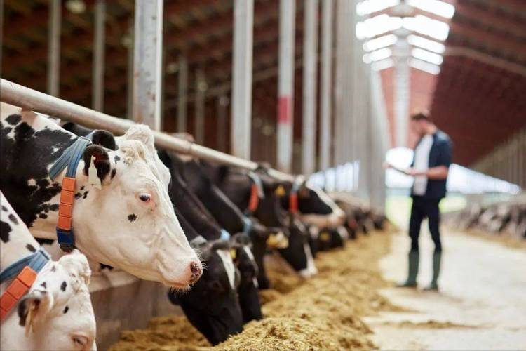 硒酵母片对甲状腺作用（酵母甲状腺片作用硒含量多少）-硒宝网