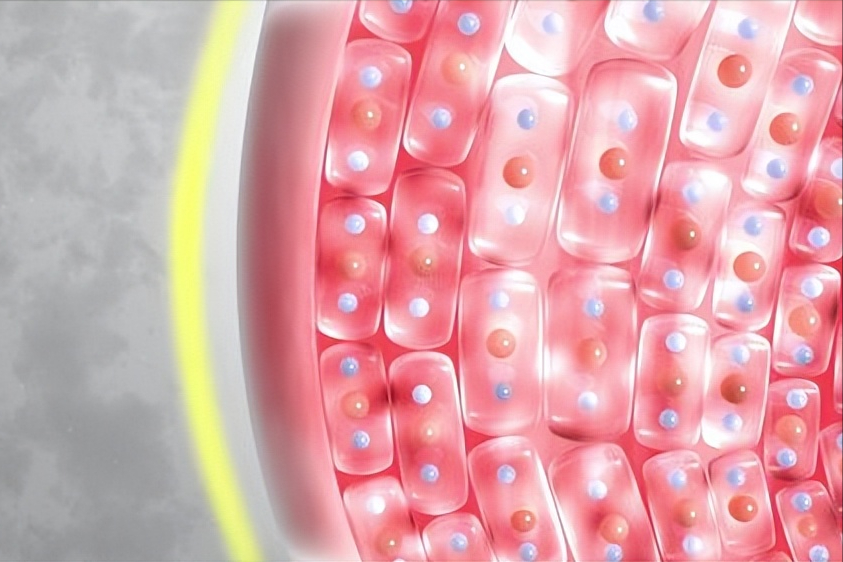 硒酵母片对甲状腺作用（酵母甲状腺片作用硒含量多少）-硒宝网
